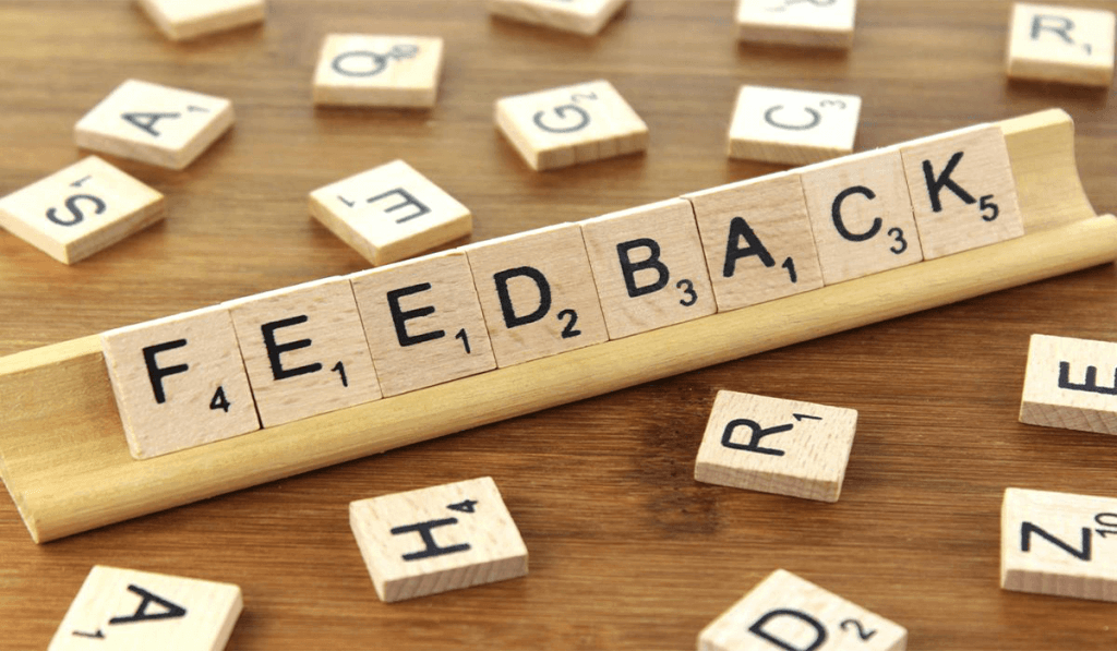 Image of Get Feedback from Experienced Pros